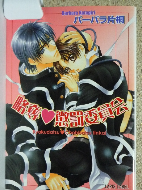 略奪懲罰委員会　バーバラ片桐(著)